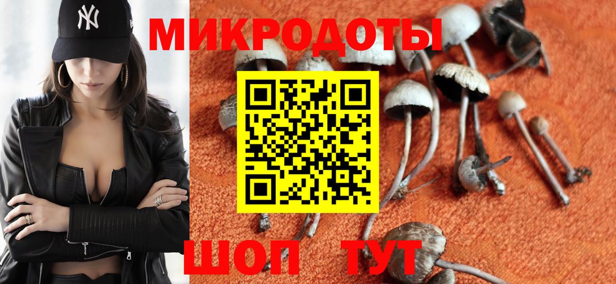 Галлюциногенные грибы Cubensis Серпухов
