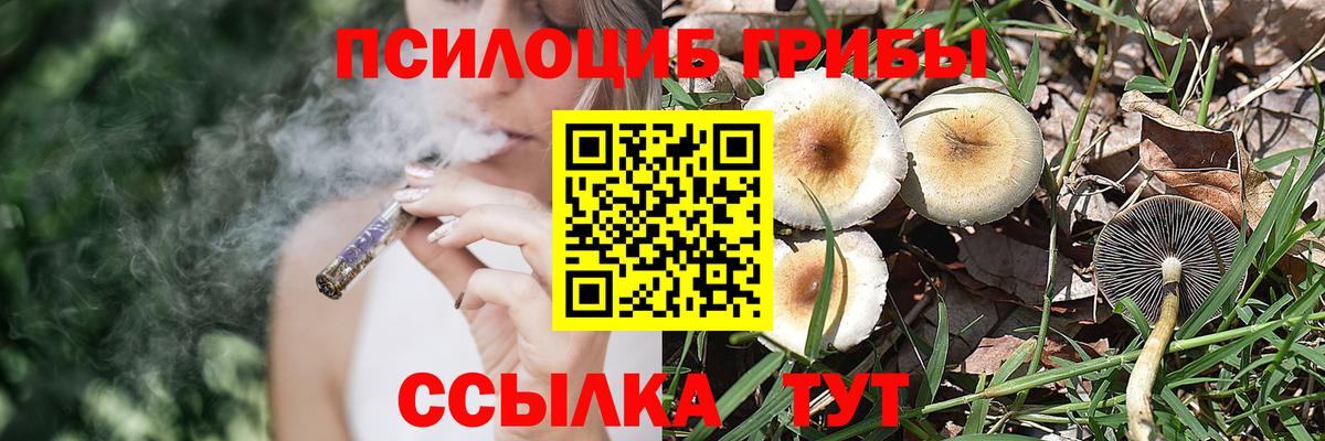 Галлюциногенные грибы Psilocybe  Галлюциногенные грибы прущие грибы  Серпухов  Вход с VPN 