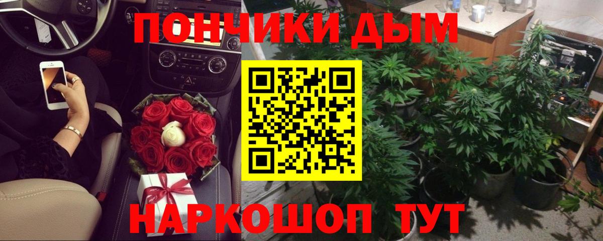 Бошки Шишки тримм  Вход с VPN  Бошки марихуана SATIVA & INDICA  Серпухов  Каннабис план  Канабис семена 